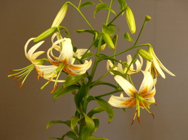 Foto: Dr. Peter Müller